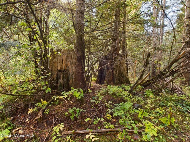 LOT2 Bear Creek Rd, Kingston, ID 83839 - photo 7