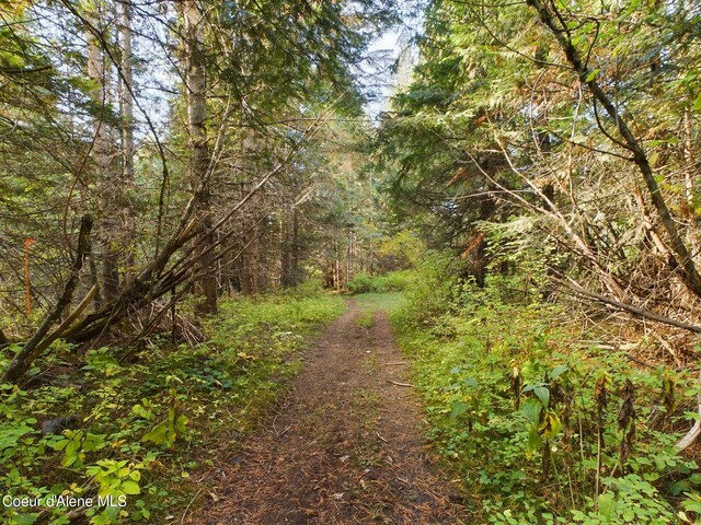 LOT2 Bear Creek Rd, Kingston, ID 83839 - photo 8