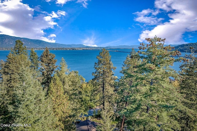 water view featuring a mountain view