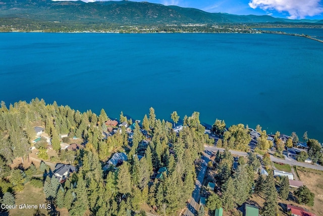 birds eye view of property with a water and mountain view