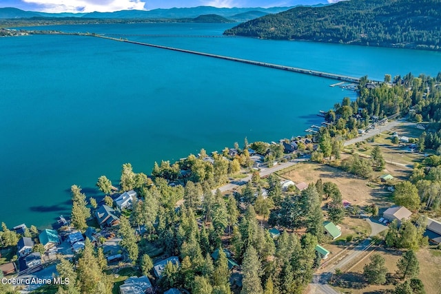 birds eye view of property featuring a water and mountain view