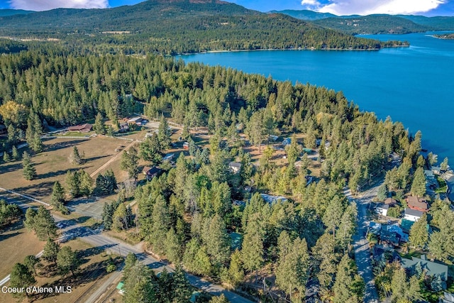 drone / aerial view with a water and mountain view