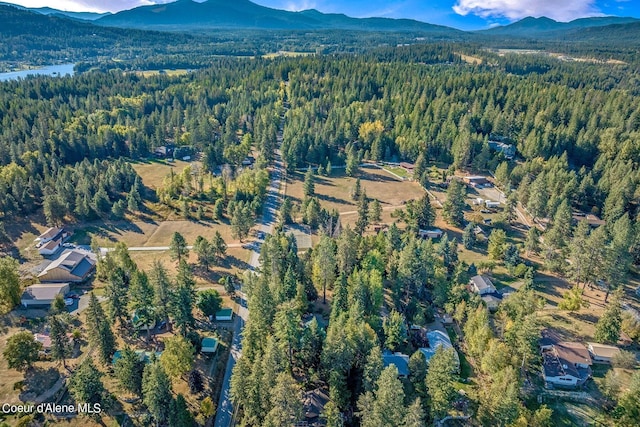 drone / aerial view featuring a mountain view