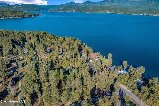 birds eye view of property with a water and mountain view