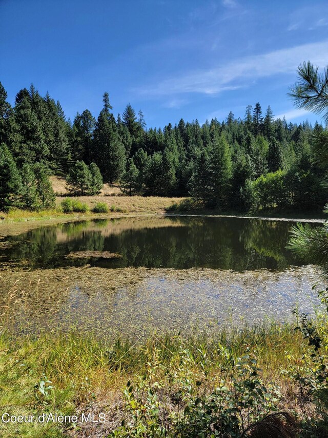 PARCELC-F E Lamb Rd, Harrison, ID 83833