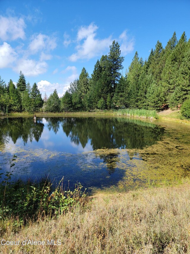 PARCELC-F E Lamb Rd, Harrison, ID 83833