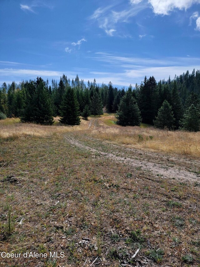 PARCELC-F E Lamb Rd, Harrison, ID 83833