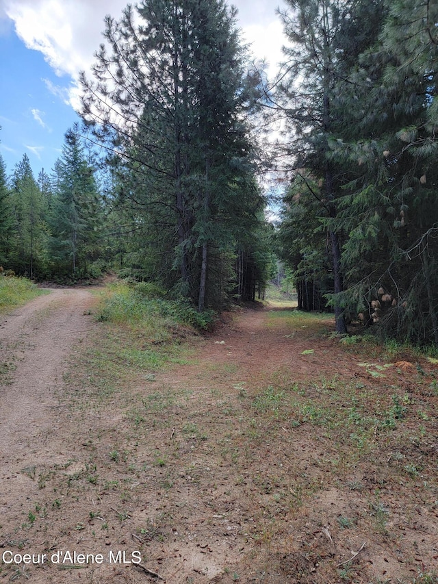 PARCELC-F E Lamb Rd, Harrison, ID 83833