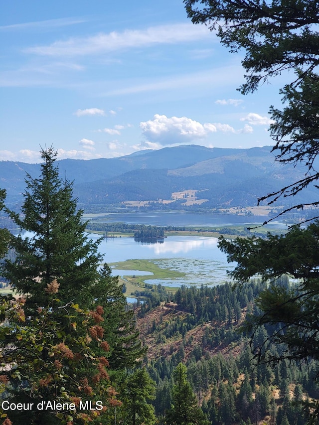 PARCELC-F E Lamb Rd, Harrison, ID 83833