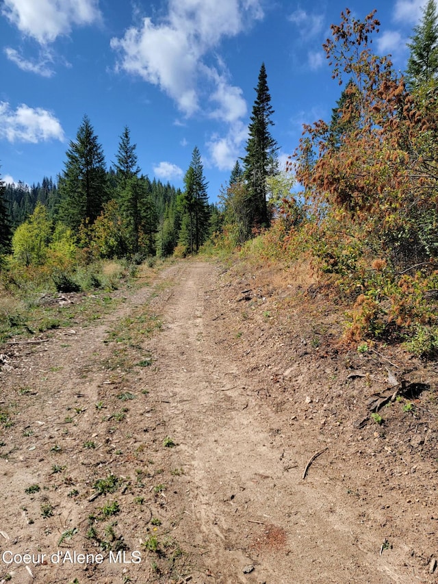 PARCELC-F E Lamb Rd, Harrison, ID 83833