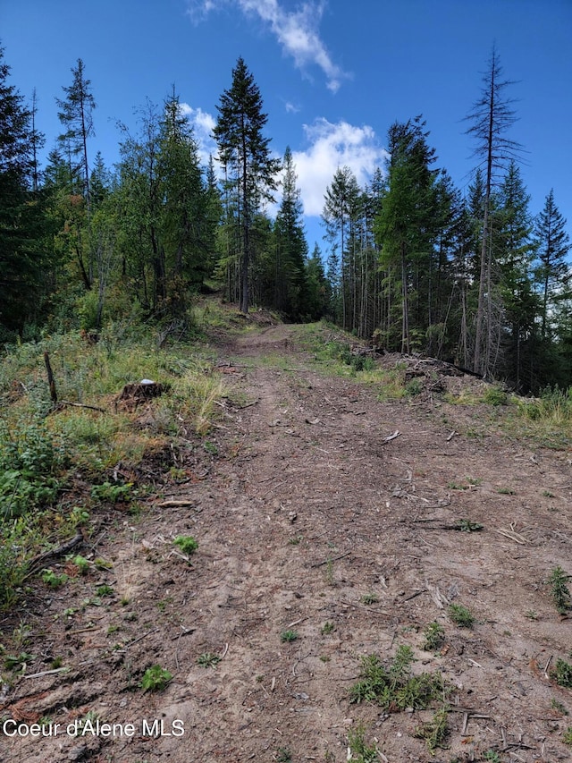 PARCELC-F E Lamb Rd, Harrison, ID 83833