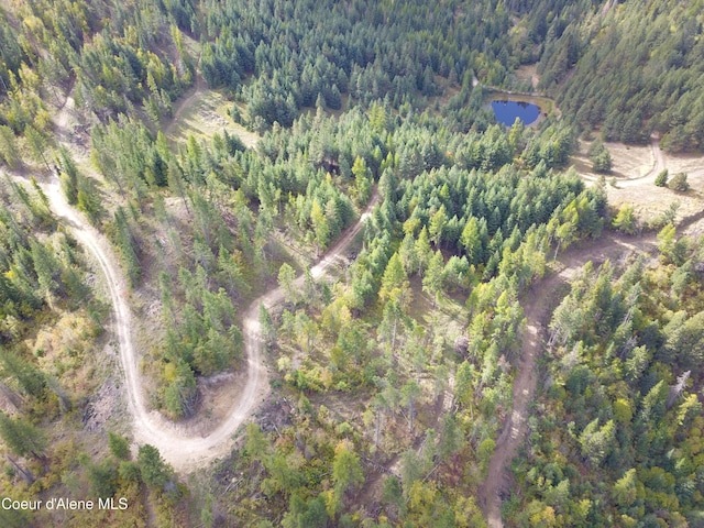 PARCELC-F E Lamb Rd, Harrison, ID 83833