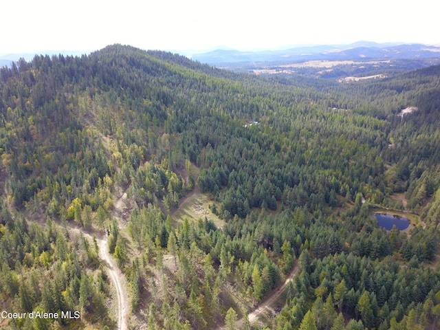 PARCELC-F E Lamb Rd, Harrison, ID 83833