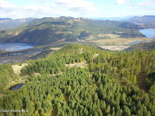 PARCELC-F E Lamb Rd, Harrison, ID 83833