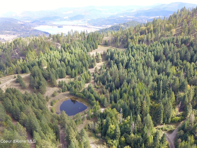 PARCELC-F E Lamb Rd, Harrison, ID 83833