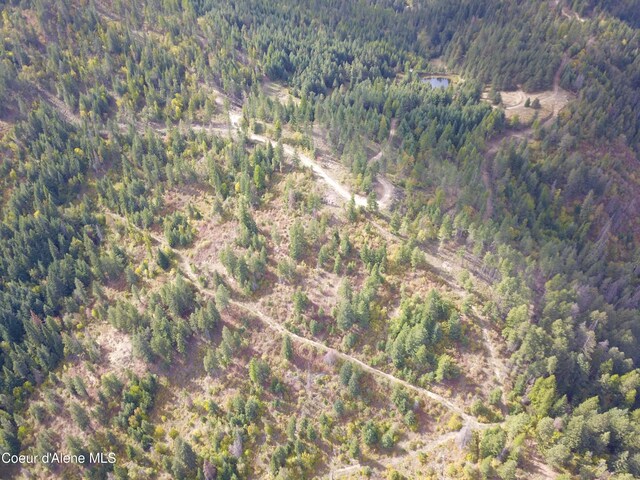 PARCELC-F E Lamb Rd, Harrison, ID 83833