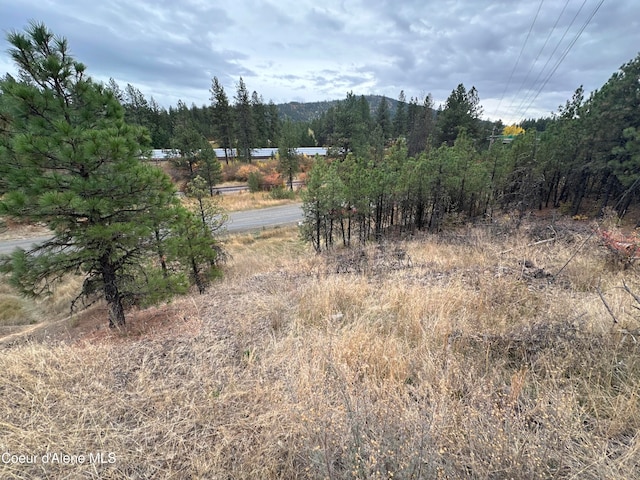 Listing photo 3 for NKA Toetly Rd, Plummer ID 83851