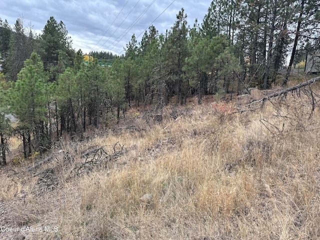 NKA Toetly Rd, Plummer ID, 83851 land for sale