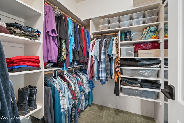 walk in closet featuring carpet floors