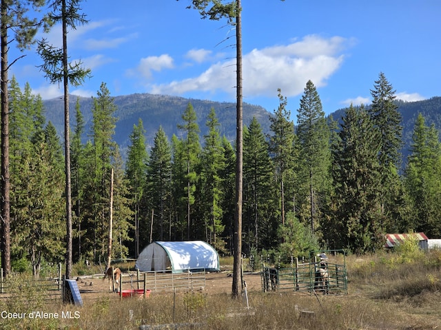 view of mountain feature with a wooded view