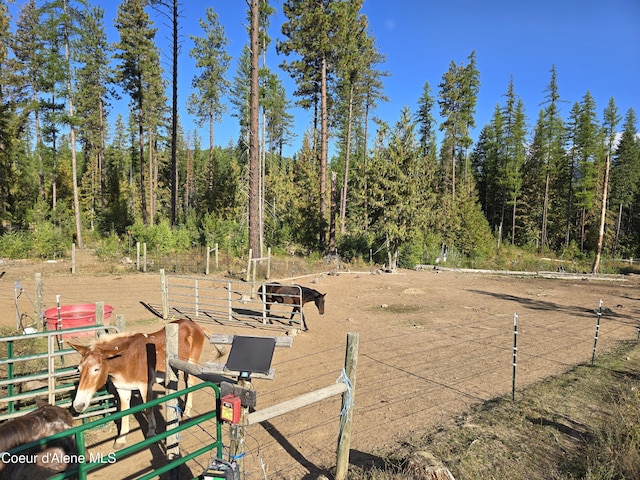 view of yard featuring a wooded view