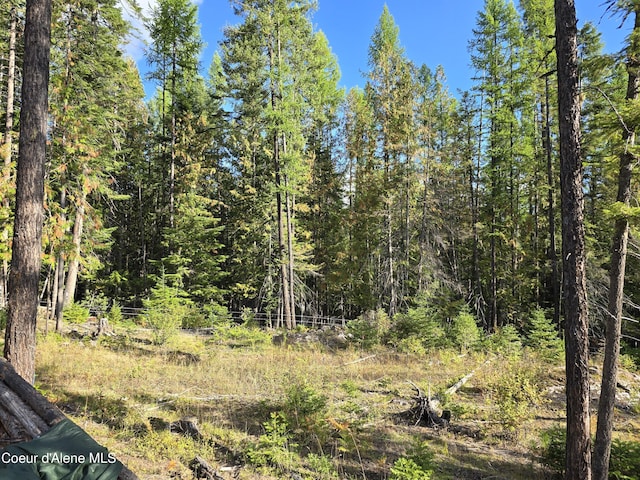 view of local wilderness featuring a wooded view