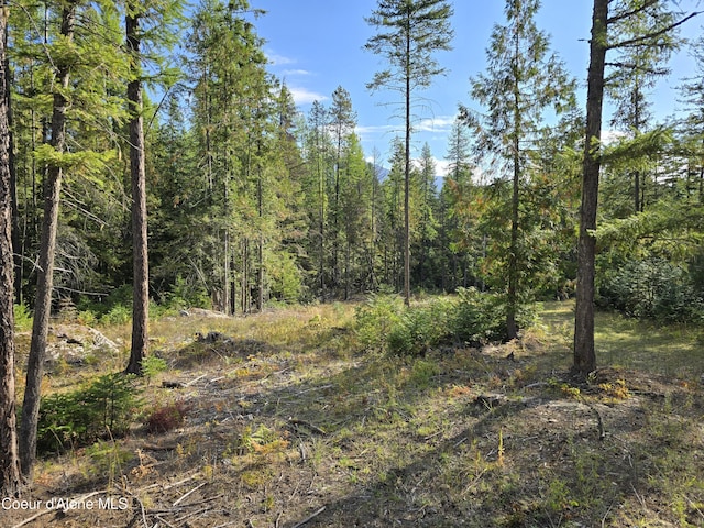 view of nature featuring a wooded view