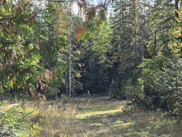 view of nature with a forest view