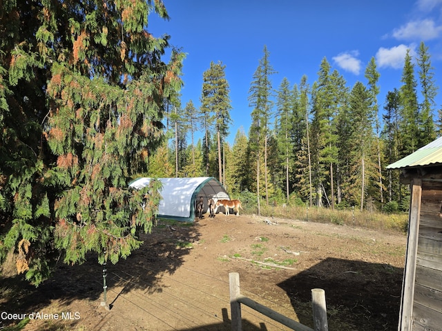 view of yard with a forest view, an outbuilding, and dirt driveway