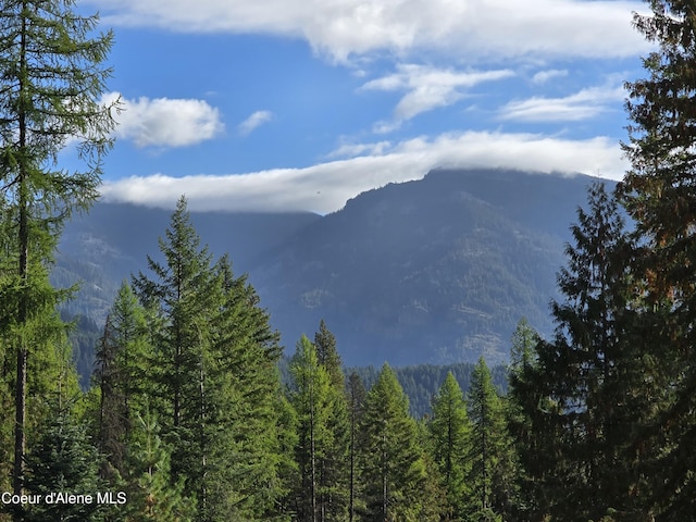 view of mountain feature with a wooded view