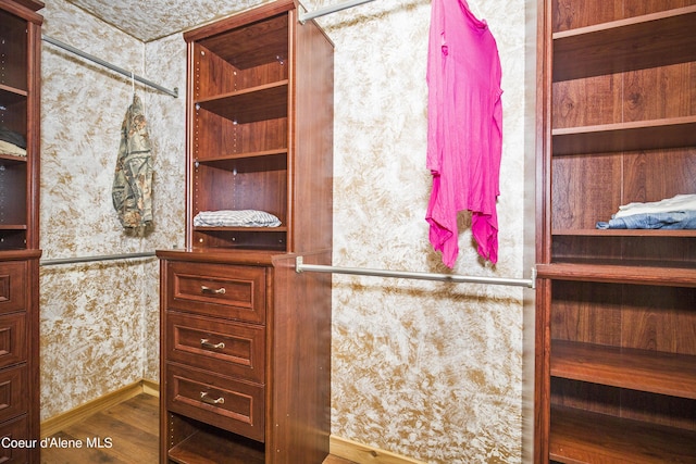 walk in closet with wood finished floors