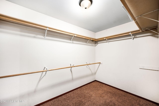 walk in closet featuring carpet flooring