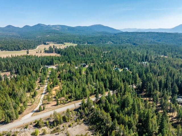 drone / aerial view with a mountain view