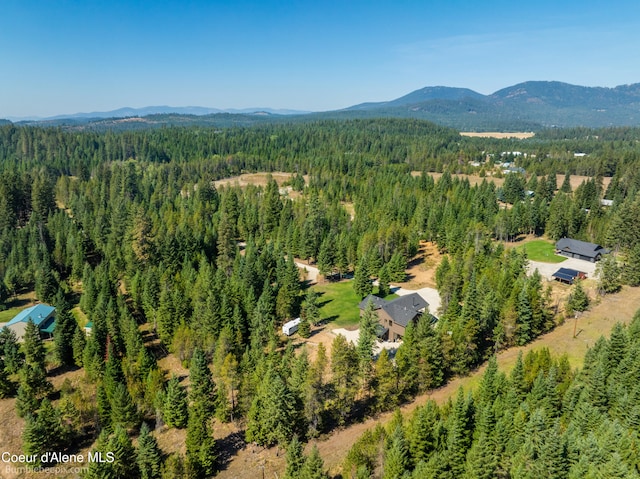 birds eye view of property featuring a mountain view