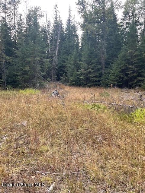 Listing photo 2 for NNA Toad Rd, Priest River ID 83856