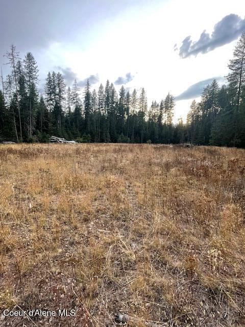 Listing photo 3 for NNA Toad Rd, Priest River ID 83856