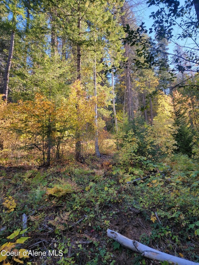 NNA Windham Road, Sagle ID, 83860 land for sale