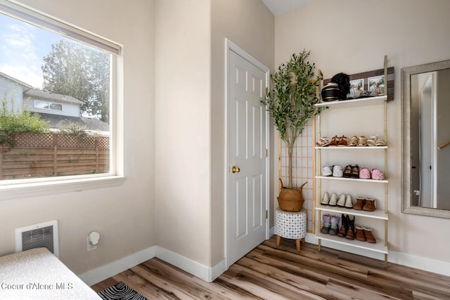 interior space with hardwood / wood-style flooring and plenty of natural light