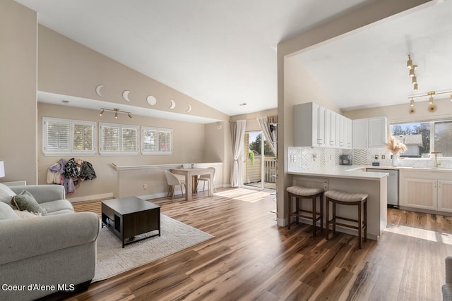 living room featuring high vaulted ceiling, dark wood-type flooring, and sink