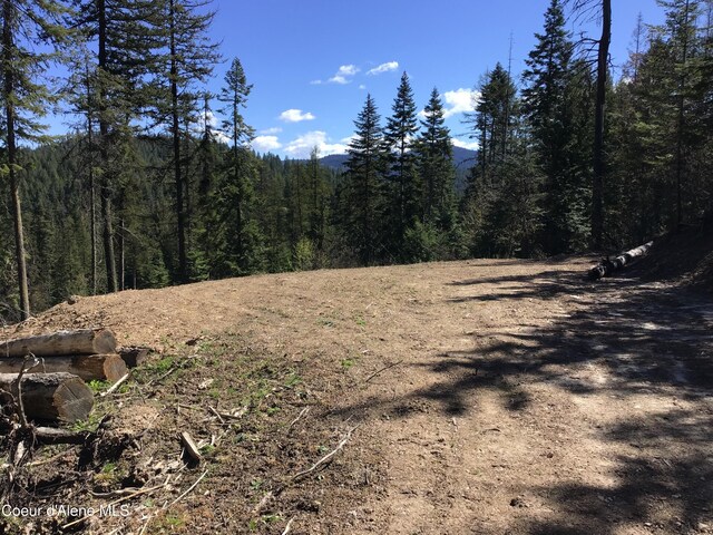 NKA Highway 97, Harrison ID, 83833 land for sale