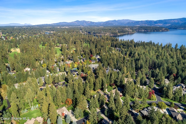 bird's eye view with a water and mountain view