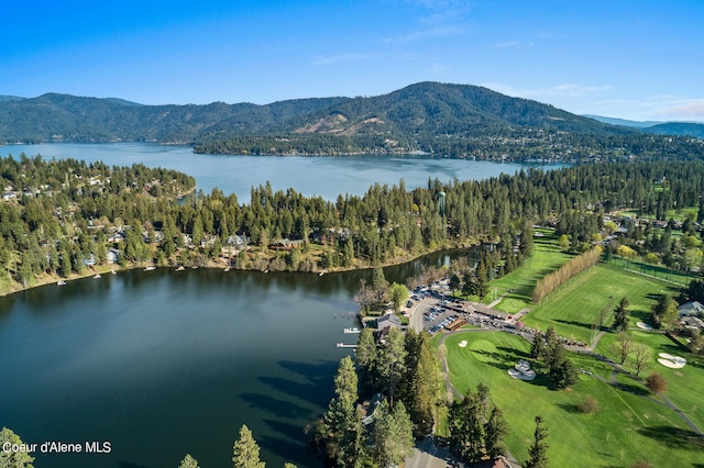 birds eye view of property featuring a water and mountain view