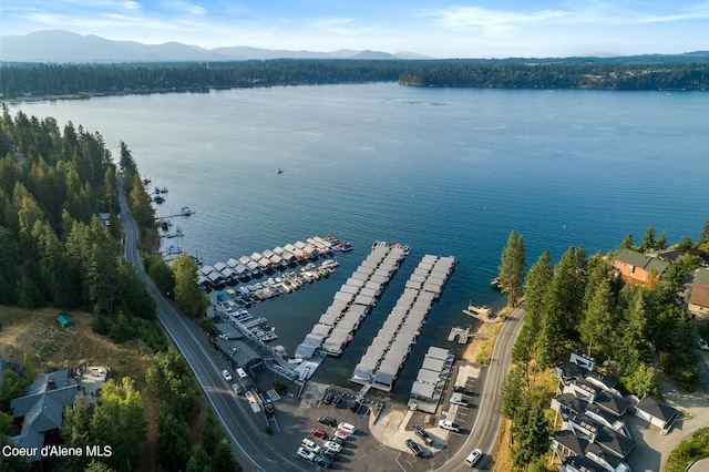 birds eye view of property with a water and mountain view