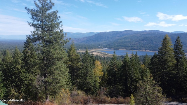 1452 Grizzly Gap Rd, Naples, ID 83847 - view of mountain backdrop with a forest and a large body of water