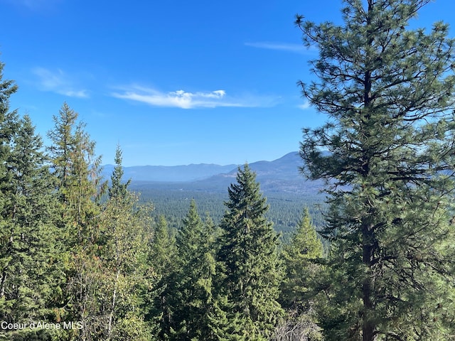 1452 Grizzly Gap Rd, Naples, ID 83847 - mountain view with a heavily wooded area