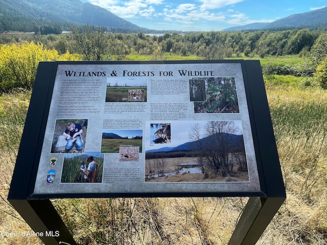 1452 Grizzly Gap Rd, Naples, ID 83847 - exterior view of a mountain view