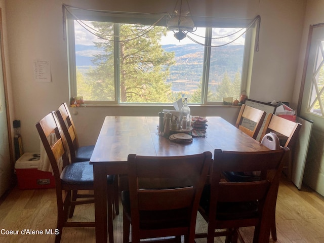 1452 Grizzly Gap Rd, Naples, ID 83847 - dining room featuring light wood-style flooring