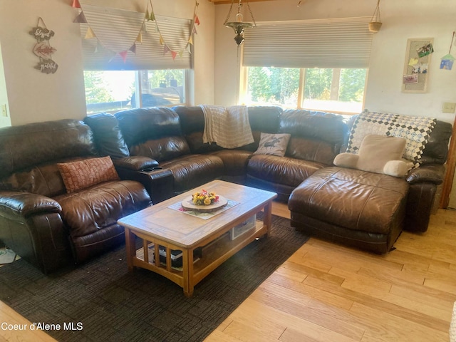 1452 Grizzly Gap Rd, Naples, ID 83847 - living area with plenty of natural light and wood finished floors