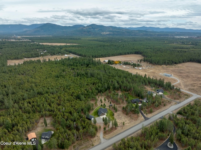 aerial view featuring a mountain view