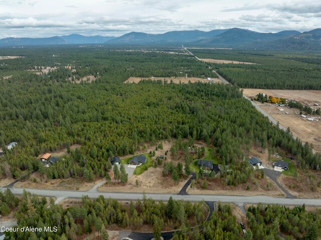 aerial view with a mountain view